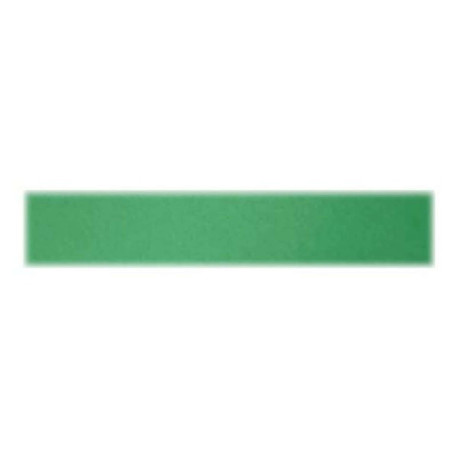 Favini Bristol Color 200 Sigillo T1 60 - Cartoncino - 700 x 1000 mm - 10 fogli - verde - 200 g/m² - cartone