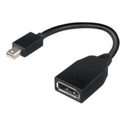 Lenovo - Adattatore DisplayPort - Mini DisplayPort (M) a DisplayPort (F) - 17.6 cm - per ThinkCentre M70- M75t Gen 2- M80- M90-
