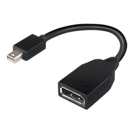Lenovo - Adattatore DisplayPort - Mini DisplayPort (M) a DisplayPort (F) - 17.6 cm - per ThinkCentre M70- M75t Gen 2- M80- M90-