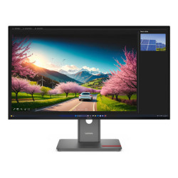 Lenovo ThinkVision P32UD-40 Monitor, 80 cm (31.5"), 3840 x 2160 Pixel, 4K Ultra HD, LCD, 6 ms, Nero
