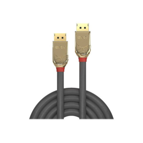 Lindy Gold - Cavo DisplayPort - DisplayPort (M) a DisplayPort (M) - DisplayPort 1.2 - 1 m - supporto 4K - grigio
