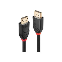 Lindy - Cavo DisplayPort - DisplayPort (M) a DisplayPort (M) - DisplayPort 1.2 - 20 m - di forma rotonda, supporto 4K, attivo -