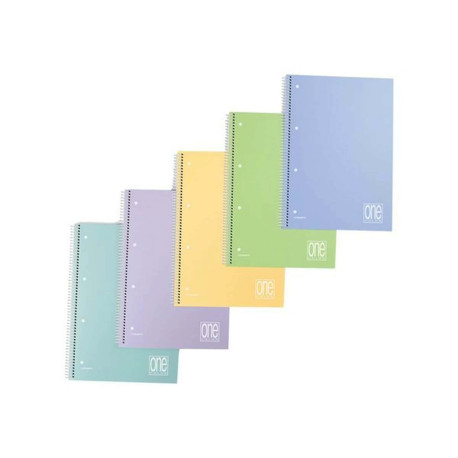 Blasetti One Color - Taccuino - rilegatura a spirale - A5 Plus - 80 fogli / 160 pagine - quadrettato - disponibile in colori as