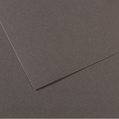 Foglio Mi-Teintes - A4 - 160 gr - grigio ardesia - Canson