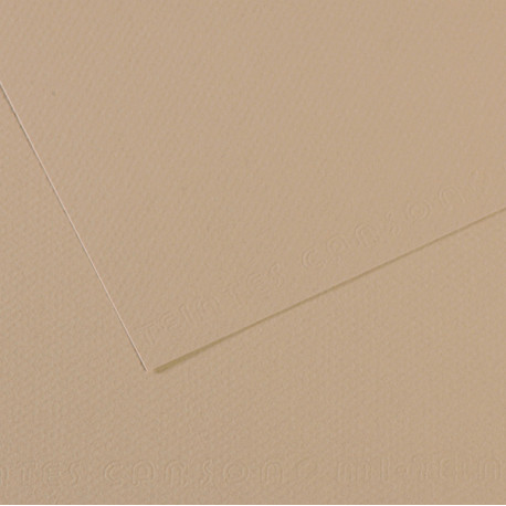 Foglio Mi-Teintes - A4 - 160 gr - grigio trianon - Canson