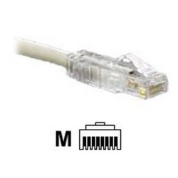 Panduit TX6 PLUS - Connettore di rete - RJ-45 (M) - CAT 6 - bloccato (pacchetto di 100)
