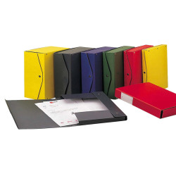 Scatola archivio Project - dorso 8 cm - 25 x 35 cm - blu - Esselte