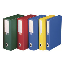 Bankers Box Progetto Plus - Cartella a scatola - larghezza dorsale 100 mm - per 255 x 355 mm - verde