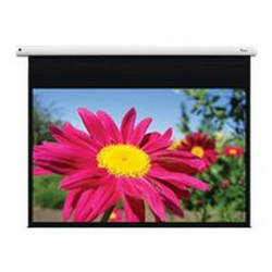 Optoma DE-1123EGA - Schermo per proiezione - montaggio a soffitto, montaggio a parete - motorizzato - 123" (312 cm) - 16:10 - M