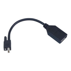 Matrox TripleHead2go upgrade - Adattatore DisplayPort - Mini DisplayPort (M) a DisplayPort (F) - per Matrox M9138, M9148, M9188