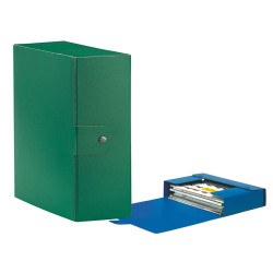 Scatola progetto Eurobox - dorso 10 cm - 25 x 35 cm - verde - Esselte