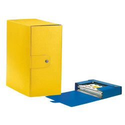 Scatola progetto Eurobox - dorso 12 cm - 25 x 35 cm - giallo - Esselte