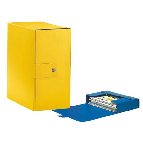 Scatola progetto Eurobox - dorso 12 cm - 25 x 35 cm - giallo - Esselte