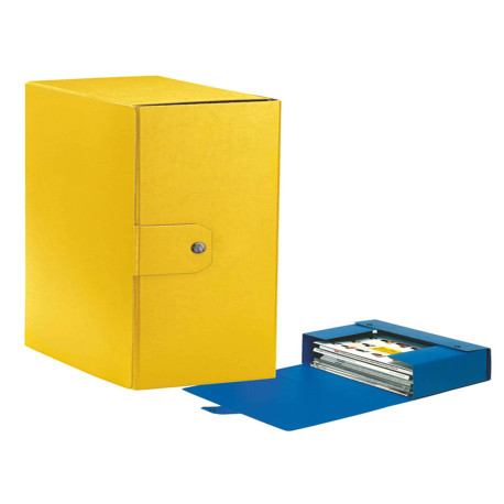 Scatola progetto Eurobox - dorso 15 cm - 25 x 35 cm - giallo - Esselte