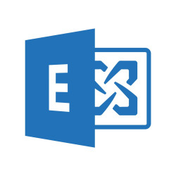 Microsoft Exchange Server 2019 Enterprise CAL - Licenza - 1 licenza CAL utente - charity - Charity - Win - Single Language