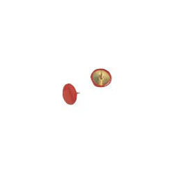 Molho Leone - Puntine da disegno - copertura in plastica - rosso - pacco da 50