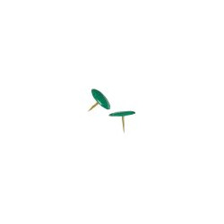Molho Leone - Puntine da disegno - copertura in plastica - verde - pacco da 50