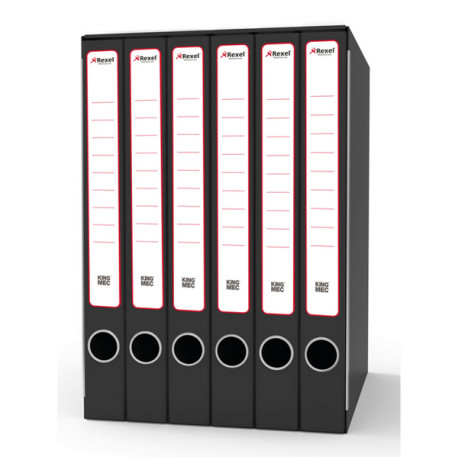 Gruppo registratori Sestetto - 23 x 33 cm - con 6 cartelle 3 lembi - dorso 23 cm - grigio - Rexel