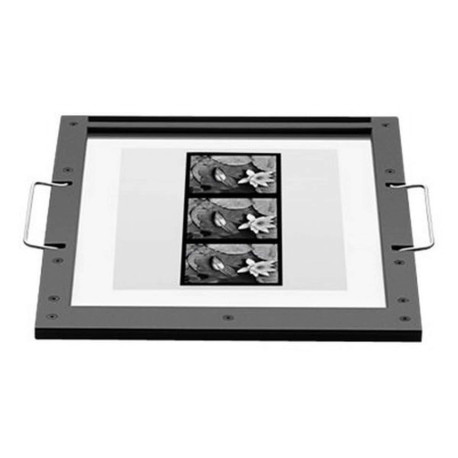 Epson - Accessori montaggio in fluido - per Perfection V700 Photo, V750 Pro, V800 Photo, V850 Pro