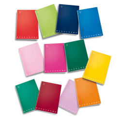 Maxiquaderno Monocromo - A4 - 1 rigo - 42 fogli - 80gr -Pigna