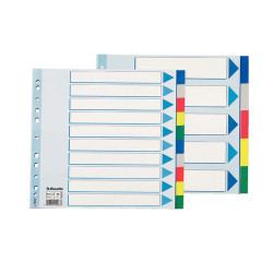 Separatore - 10 tasti colorati - PP - A4 maxi - 24,5x29,7 cm - multicolore - Esselte