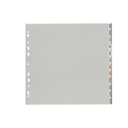 Separatore - 12 tacche personalizzabili - PP - 22x30 cm - grigio - Favorit