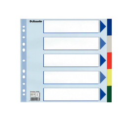 Separatore - 5 tasti colorati - PP - A4 maxi - 24,5x29,7 cm - multicolore - Esselte