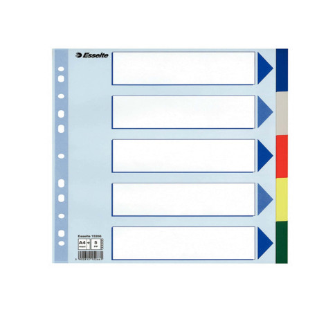 Separatore - 5 tasti colorati - PP - A4 maxi - 24,5x29,7 cm - multicolore - Esselte