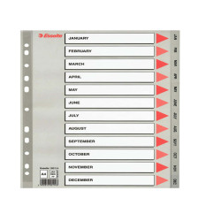 Separatore mensile Gen/Dic - PP - A4 - grigio - Esselte