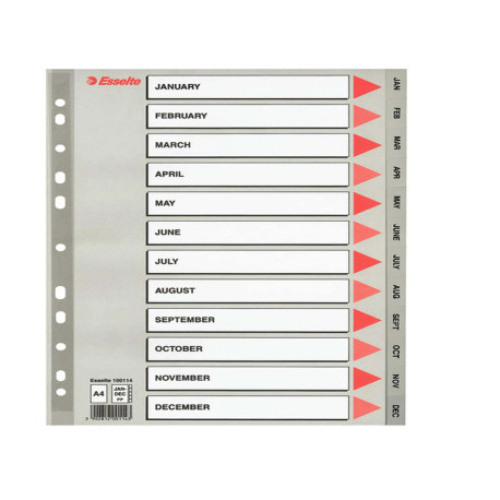 Separatore mensile Gen/Dic - PP - A4 - grigio - Esselte