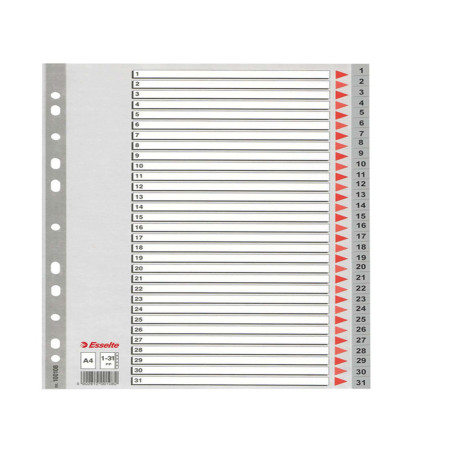 Separatore numerico 1/31 - PP - A4 - grigio - Esselte