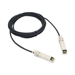 Extreme Networks - Cavo Ethernet 10GBase-CR - SFP+ (M) a SFP+ (M) - 10 m - per ExtremeCloud E3120