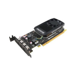 NVIDIA Quadro P1000 - Scheda grafica - Quadro P1000 - 4 GB GDDR5 profilo basso - 4 x Mini DisplayPort - per ThinkStation P320 3
