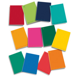 Quaderno Monocromo - A5 - 1 rigo c/margine - 42 fogli - 80 gr - Pigna