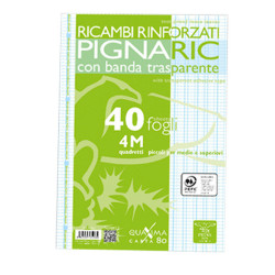 Ricambi forati rinforzati Pignaric - A4 -  4mm - 80gr - Pigna - conf. 40 pezzi
