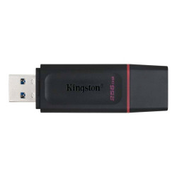 Kingston DataTraveler Exodia - Chiavetta USB - 256 GB - USB 3.2 Gen 1 - nero/rosa