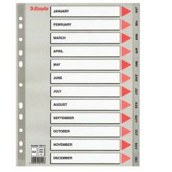 Separatore mensile Gen/Dic - PP - A4 - grigio - Esselte