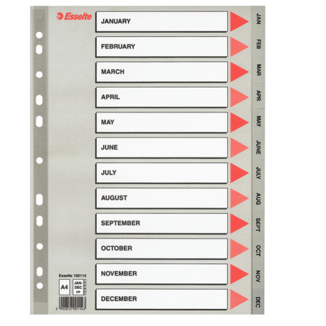 Separatore mensile Gen/Dic - PP - A4 - grigio - Esselte