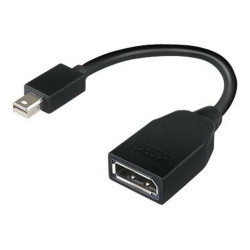 Lenovo - Adattatore DisplayPort - Mini DisplayPort (M) a DisplayPort (F) - 17.6 cm - per ThinkCentre M70- M75t Gen 2- M80- M90-