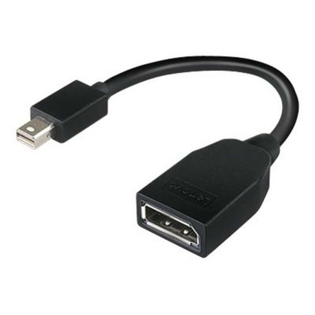 Lenovo - Adattatore DisplayPort - Mini DisplayPort (M) a DisplayPort (F) - 17.6 cm - per ThinkCentre M70- M75t Gen 2- M80- M90-