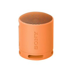 Sony SRS-XB100 - Altoparlante - portatile - senza fili - Bluetooth - Controllato da app - arancione