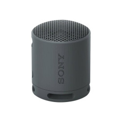 Sony SRS-XB100 - Altoparlante - portatile - senza fili - Bluetooth - Controllato da app - nero