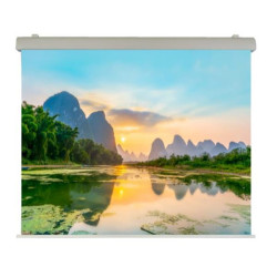 Sopar Elettrico 240x200 Professional