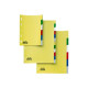 SEI RECORD - Divisorio - 12 parti - per A4 - con schede - colori assortiti (pacchetto di 50)