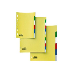 SEI RECORD - Divisorio - 12 parti - per A4 - con schede - colori assortiti (pacchetto di 50)