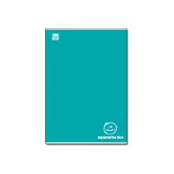 Blasetti Colorface - Taccuino - A4 - 18 fogli / 36 pagine - quadrettato - disponibile in colori assortiti