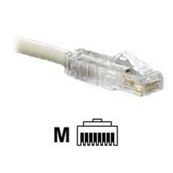 Panduit TX6 PLUS - Connettore di rete - RJ-45 (M) - CAT 6 - bloccato (pacchetto di 100)