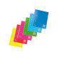 Blasetti One Color - Taccuino - rilegatura a spirale - A4 - 81 fogli / 162 pagine - quadretti - 4 fori - disponibile in colori 