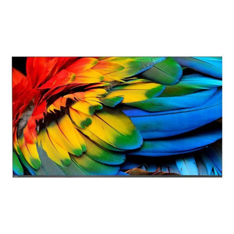 Philips 58HFL6214U - 58" Categoria diagonale Professional MediaSuite TV LCD retroilluminato a LED - sanità/hotel - Smart TV - A