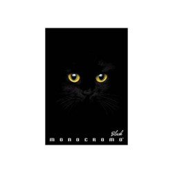 Pigna Monocromo Black - Quaderno - graffettato - A4 - 18 fogli - righe